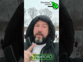 Секретная вода: почему моя рассада крепкая, как дуб? Просто не поливайте рассаду водой из-под крана!