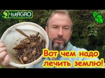 САМОЕ ЗАГАДОЧНОЕ СРЕДСТВО ДЛЯ САМОЙ ПЛОДОРОДНОЙ ПОЧВЫ: в 150 раз дешевле и в 1000 раз эффективнее!