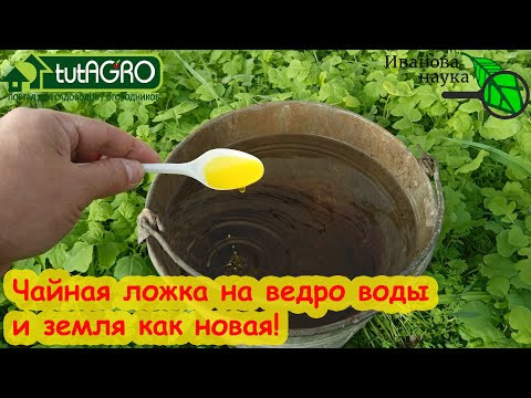 ЗЕМЛЯ СНОВА НОВАЯ, ПЛОДОРОДНАЯ, ЖИВАЯ ДЛЯ БОЛЬШОГО УРОЖАЯ! Восстановление почвы после сбора урожая. ЗЕМЛЯ СНОВА НОВАЯ, ПЛОДОРОДНАЯ, ЖИВАЯ ДЛЯ БОЛЬШОГО УРОЖАЯ! Восстановление почвы после сбора урожая.