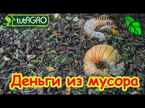 ДЕНЬГИ РАСТУТ НА ДЕРЕВЬЯХ! КУХОННЫЙ МЕТОД СНОВА ПОПУЛЯРЕН: обычный мусор превращаем в удобрение.