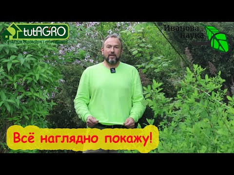 ЗАЩИТИТЬСЯ от КЛЕЩЕЙ БЕЗ ТАБЛЕТОК и АЭРОЗОЛЕЙ. Это очень просто. Посмотрите это видео обязательно! ЗАЩИТИТЬСЯ от КЛЕЩЕЙ БЕЗ ТАБЛЕТОК и АЭРОЗОЛЕЙ. Это очень просто. Посмотрите это видео обязательно!