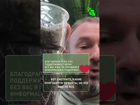 Всего пару ложек — и рассаду НЕ УЗНАТЬ! Самый мощный стимулятор роста. Всего пару ложек — и рассаду НЕ УЗНАТЬ! Самый мощный стимулятор роста.