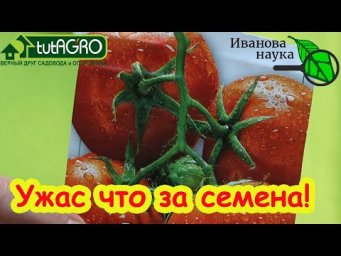 САМЫЕ ОПАСНЫЕ СЕМЕНА ТОМАТА! Ни в коем случае не пользуйтесь этими семенами - останетесь без урожая!
