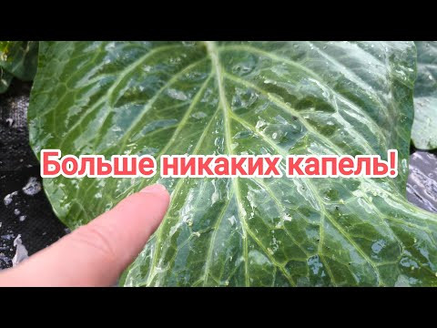 УНИВЕРСАЛЬНЫЙ ДОМАШНИЙ ПРИЛИПАТЕЛЬ: ЛЮБОЙ РАСТВОР ЭФФЕКТИВНЕЕ В 10 РАЗ! Это есть дома у каждого!