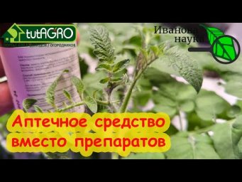 ФИТОСПОРИН ИЗ АПТЕКИ: уникальные средства от всех болезней: человека, животных и растений.