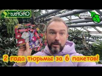 ПРОВЕРЬТЕ НЕМЕДЛЕННО! 2 ГОДА ТЮРЬМЫ ЗА ХРАНЕНИЕ 3 ГРАММ СЕМЯН. Какие можно, а за какие - тюрьма.