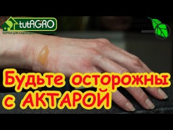 БУДЬТЕ ОСТОРОЖНЫ С АКТАРОЙ! Она всасывается через кожу! Как обезвредить АКТАРУ?