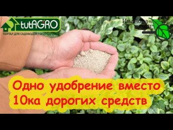 ОДНО ДЕШЕВОЕ УДОБРЕНИЕ ВМЕСТО ВСЕХ ДОРОГИХ ПРИМОЧЕК! Заменяет Цион, Аминосил, Аминорост и Осмокот.
