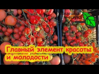 ЭЛЕМЕНТ МОЛОДОСТИ и ЗДОРОВЬЯ для вас и для растений! Где взять калий без удобрений? Где больше калия