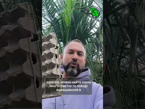 ЛОТКИ ДЛЯ ЯИЦ - самая нужная вещь для урожая картофеля! ЛОТКИ ДЛЯ ЯИЦ - самая нужная вещь для урожая картофеля!