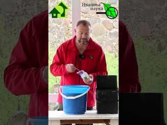 Смородина и крыжовник как мёд сладкие! #иванованаука #сад #дача