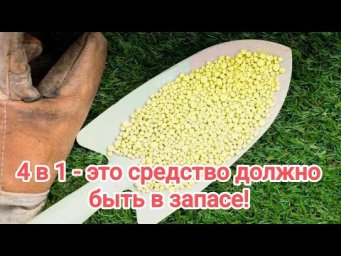 СУПЕР СРЕДСТВО 4 в 1 ДЛЯ САДА и ОГОРОДА! Стоит копейки, а работает на УРА! От болезней и вредителей.
