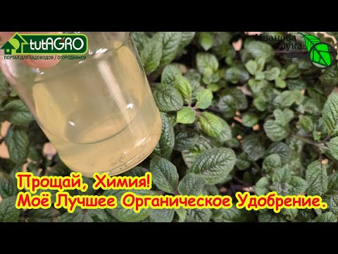 ДОСТУПНО ДАЖЕ ЭТИМ БАБУШКАМ! В 100 раз дешевле и эффективнее: кухонное удобрение своими руками. ДОСТУПНО ДАЖЕ ЭТИМ БАБУШКАМ! В 100 раз дешевле и эффективнее: кухонное удобрение своими руками.