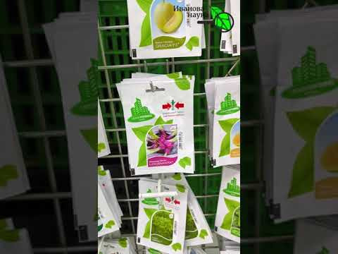 ОПЯТЬ НАКУПИЛ СЕМЯН, ДА КАКИХ! Эх, везде семена дешёвые, почему у нас такие дорогие? ОПЯТЬ НАКУПИЛ СЕМЯН, ДА КАКИХ! Эх, везде семена дешёвые, почему у нас такие дорогие?