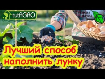 СДЕЛАЙТЕ ТАК ПРИ ПОСАДКЕ ОГУРЦОВ! ЧТО ПОЛОЖИТЬ В ЛУНКУ ПРИ ПОСАДКЕ ОГУРЦОВ. Огурцы без подкормок.