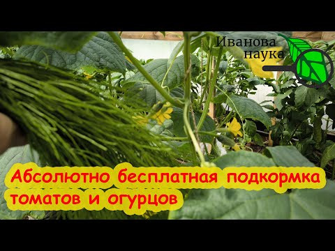 ЛЮБАЯ ПОДКОРМКА В 100 РАЗ СИЛЬНЕЕ С ЭТОЙ БЕСПЛАТНОЙ ДОБАВКОЙ! Эффективные подкормки всех растений. ЛЮБАЯ ПОДКОРМКА В 100 РАЗ СИЛЬНЕЕ С ЭТОЙ БЕСПЛАТНОЙ ДОБАВКОЙ! Эффективные подкормки всех растений.