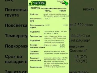 Памятка по выращиванию рассады перца и томата.