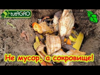 НЕ МУСОР, А СОКРОВИЩЕ! 3 горсти под куст и смородина вырастет крупнее вишни и слаще сахара!