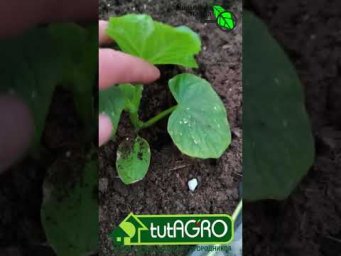 ОТВЕТЫ НА ПОПУЛЯРНЫЕ ВОПРОСЫ на канале Иванова Наука.