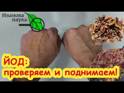 ЩИТОВИДКА: САМЫЙ НЕОЖИДАННО ПОЛЕЗНЫЙ ПРОДУКТ ДЛЯ ЩИТОВИДКИ! Ешьте его, живите долго и не болейте!