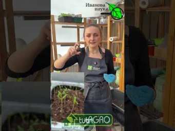 ОНИ ВАМ ВРУТ КАК ДЫШАТ! Самое важное при посеве чего угодно - не врать!