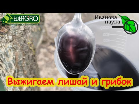 ЭТОТ РАСТВОР ВЫЖИГАЕТ ЛИШАИ, ГРИБОК, ВСЮ ИНФЕКЦИЮ и ПАРАЗИТОВ за 1 РАЗ! ЭТОТ РАСТВОР ВЫЖИГАЕТ ЛИШАИ, ГРИБОК, ВСЮ ИНФЕКЦИЮ и ПАРАЗИТОВ за 1 РАЗ!