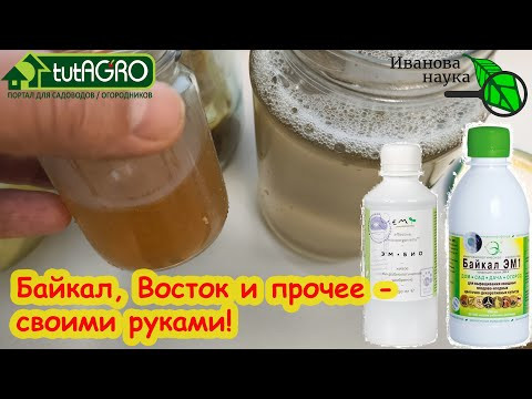 В 1000 РАЗ ЛУЧШЕ СВОИМИ РУКАМИ! Препараты БАЙКАЛ ЭМ-1, ВОСТОК ЭМ и прочие не покупаем, готовим сами. В 1000 РАЗ ЛУЧШЕ СВОИМИ РУКАМИ! Препараты БАЙКАЛ ЭМ-1, ВОСТОК ЭМ и прочие не покупаем, готовим сами.