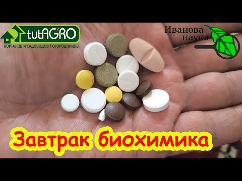 ДЕШЕВАЯ ТАБЛЕТКА, А КАК БОДРИТ! Мой собственный рецепт бодрости и хорошего настроения! Моя биг фарма ДЕШЕВАЯ ТАБЛЕТКА, А КАК БОДРИТ! Мой собственный рецепт бодрости и хорошего настроения! Моя биг фарма