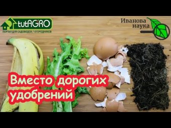 ЗАПОМНИТЕ ЭТО: вместо разных покупных удобрений используйте эти подручные средства. Есть у каждого!