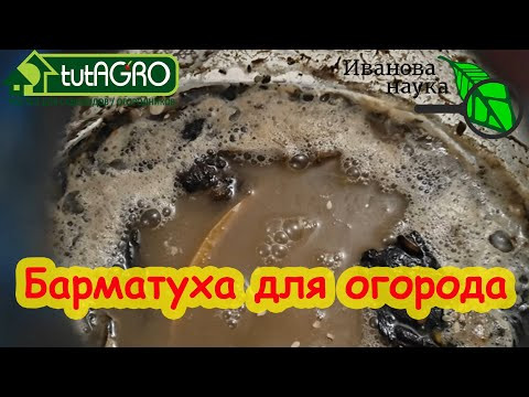 БАРМАТУХА (БОРМОТУХА) ДЛЯ ОГОРОДА. Главное, чтобы не АКЧ! БАРМАТУХА (БОРМОТУХА) ДЛЯ ОГОРОДА. Главное, чтобы не АКЧ!
