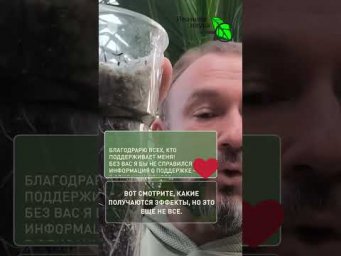Всего пару ложек &mdash; и рассаду НЕ УЗНАТЬ! Самый мощный стимулятор роста.