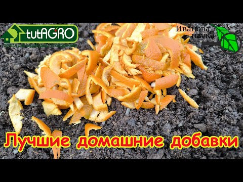 Скорлупу в уксусе не растворяю: поливаю рассаду жемчужной водой. Кофе, чай, и кожура для рассады. Скорлупу в уксусе не растворяю: поливаю рассаду жемчужной водой. Кофе, чай, и кожура для рассады.