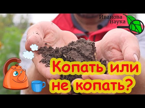 КОПАТЬ или НЕ КОПАТЬ ПОЧВУ? Что происходит с почвой, когда ее перекапывают. Лучше отдохните! КОПАТЬ или НЕ КОПАТЬ ПОЧВУ? Что происходит с почвой, когда ее перекапывают. Лучше отдохните!