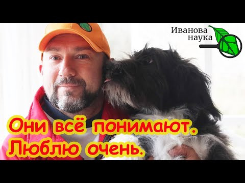 СОБАКА В КВАРТИРЕ: самые неприятные проблемы. Профилактика и лечение рвоты, поноса, запора... СОБАКА В КВАРТИРЕ: самые неприятные проблемы. Профилактика и лечение рвоты, поноса, запора...