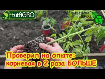Никогда не сажайте в это! Худшие и лучшие стаканы для рассады. В чем секрет идеального стакана?