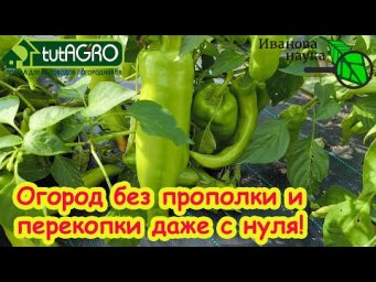 О ПРОПОЛКЕ и ПЕРЕКОПКЕ ЗАБУДЬТЕ! Ни одного сорняка в огороде! Даже огород с нуля - это легко.