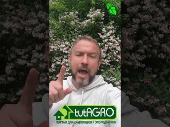 Что будет новенького. на канале Иванова наука. Анонс на неделю.