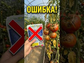 Безумный совет из сети!Избавься от гнили ДЁШЕВО и БЕЗ ХИМИИ