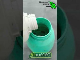 Я знаю как вырастить богатый урожай чего угодно даже в холод и дождь! Урожай вопреки погоде!