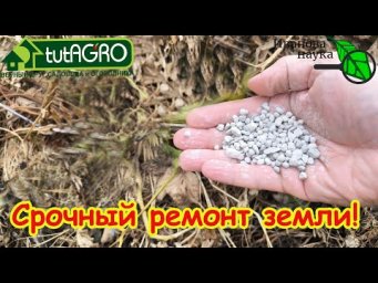 БРОСАЮ ГОРСТЬ НА СОТКУ И ЗЕМЛЯ КАК НОВАЯ! Запомните этот лучший способ обновления земли!