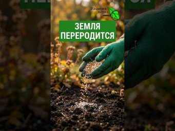 ПОЧВА КАК НОВАЯ ЗА ОДИН РАЗ! Моментальное восстановление здоровья огорода. Секрет плодородия