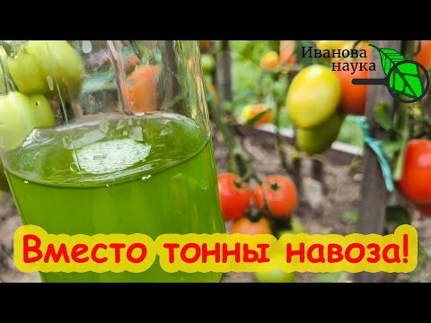 ЛЕГКО ОБХОЖУСЬ БЕЗ НАВОЗА! Это средство заменит навоз: без запаха, без сорняков и глистов.