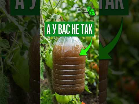 НЕ БОЙТЕСЬ КОРИЧНЕВОГО ЦВЕТА! СЕКРЕТ коричневой ПОДКОРМКИ