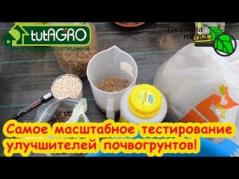 ДОРОГИЕ и БЕСПЛАТНЫЕ! Тестируем улучшители почвы: опилки, цеолит/цион, цимус, песок... Что лучше.