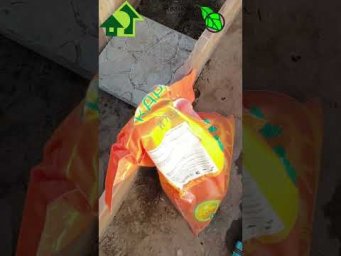 Вношу это удобрение 1 раз в 20 лет и не парюсь с подкормками и вершинной гнилью.