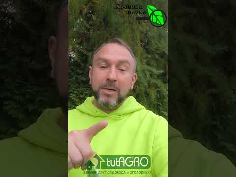 Не хотите тратить время на грядки? Тогда посмотрите это видео! Просто разбросал семена по земле.