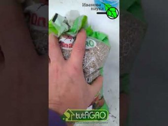 Это дешевое средство - просто яд для легких и глаз! Берегитесь использовать разрыхлители земли.
