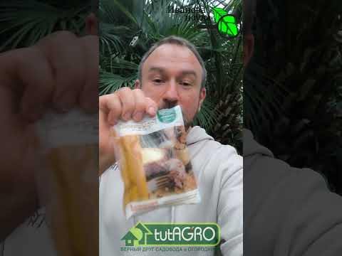 Этот порошок из СССР - просто чудо для земли. Но берегитесь дать большую дозу. Этот порошок из СССР - просто чудо для земли. Но берегитесь дать большую дозу.