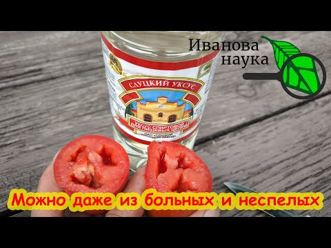 СЕМЕНА ГОТОВЫ ЗА 4 ЧАСА. Сбор семян томатов - как это правильно сделать. Кислотный метод. СЕМЕНА ГОТОВЫ ЗА 4 ЧАСА. Сбор семян томатов - как это правильно сделать. Кислотный метод.