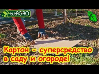 НЕ ВЫБРАСЫВАЙТЕ КАРТОН и ДВП! Картон - оружие против СЛИЗНЕЙ, СОРНЯКОВ и ГНИЛЕЙ!